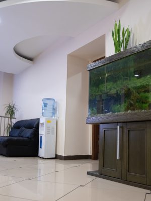 clinic-foto-6